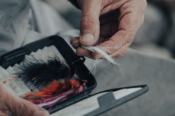 Phishing — jak rozpoznać podejrzaną wiadomość