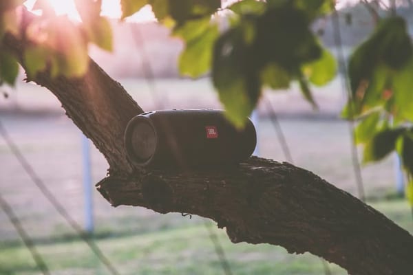 Wodoodporne głośniki Bluetooth na wakacje 2026: co kupić na plażę i basen